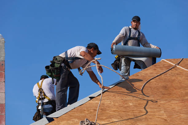 Best Residential Roofing Contractor  in Marshall, IL