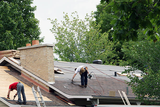Best Roof Gutter Cleaning  in Marshall, IL